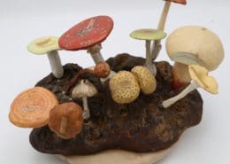 Modèle petite forêt de champignons de Louis Auzoux