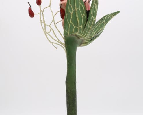 Photo du modèle de Fraise de Louis Auzoux